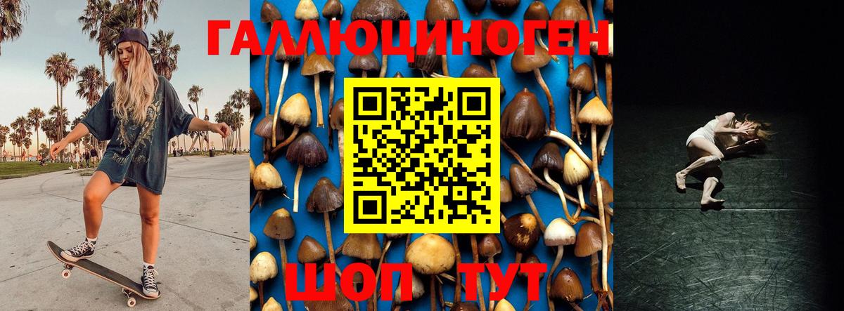 Псилоцибиновые грибы GOLDEN TEACHER  Вход с VPN  магазин продажи наркотиков  Советск 
