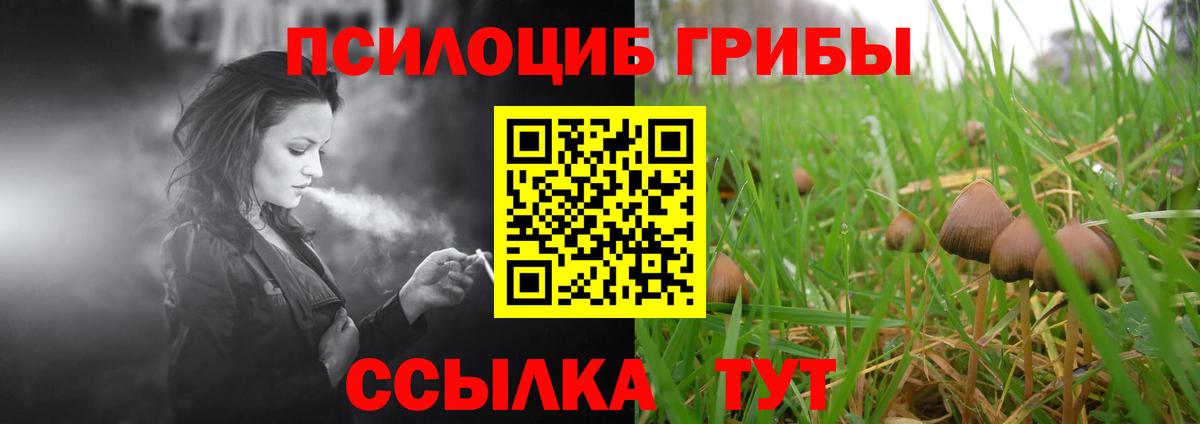 Галлюциногенные грибы Psilocybe Советск